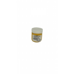 Pigmento Amarillo 100 Grs
